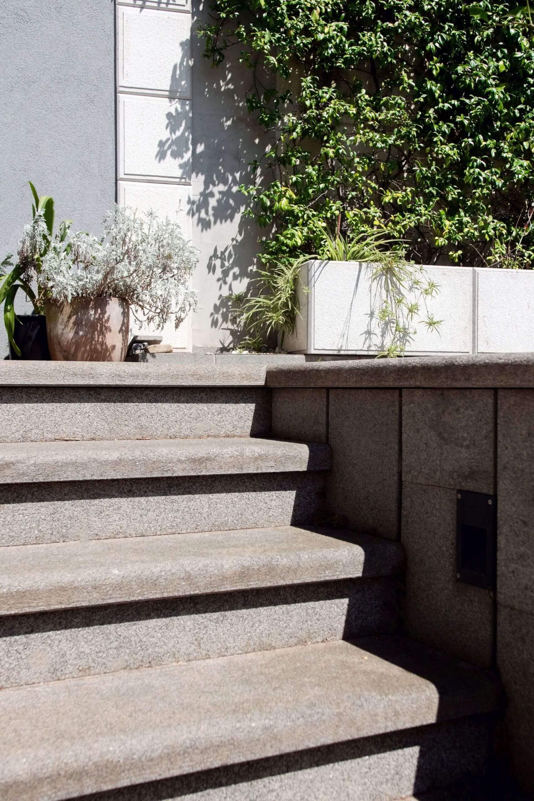 staircase Impala, burnt