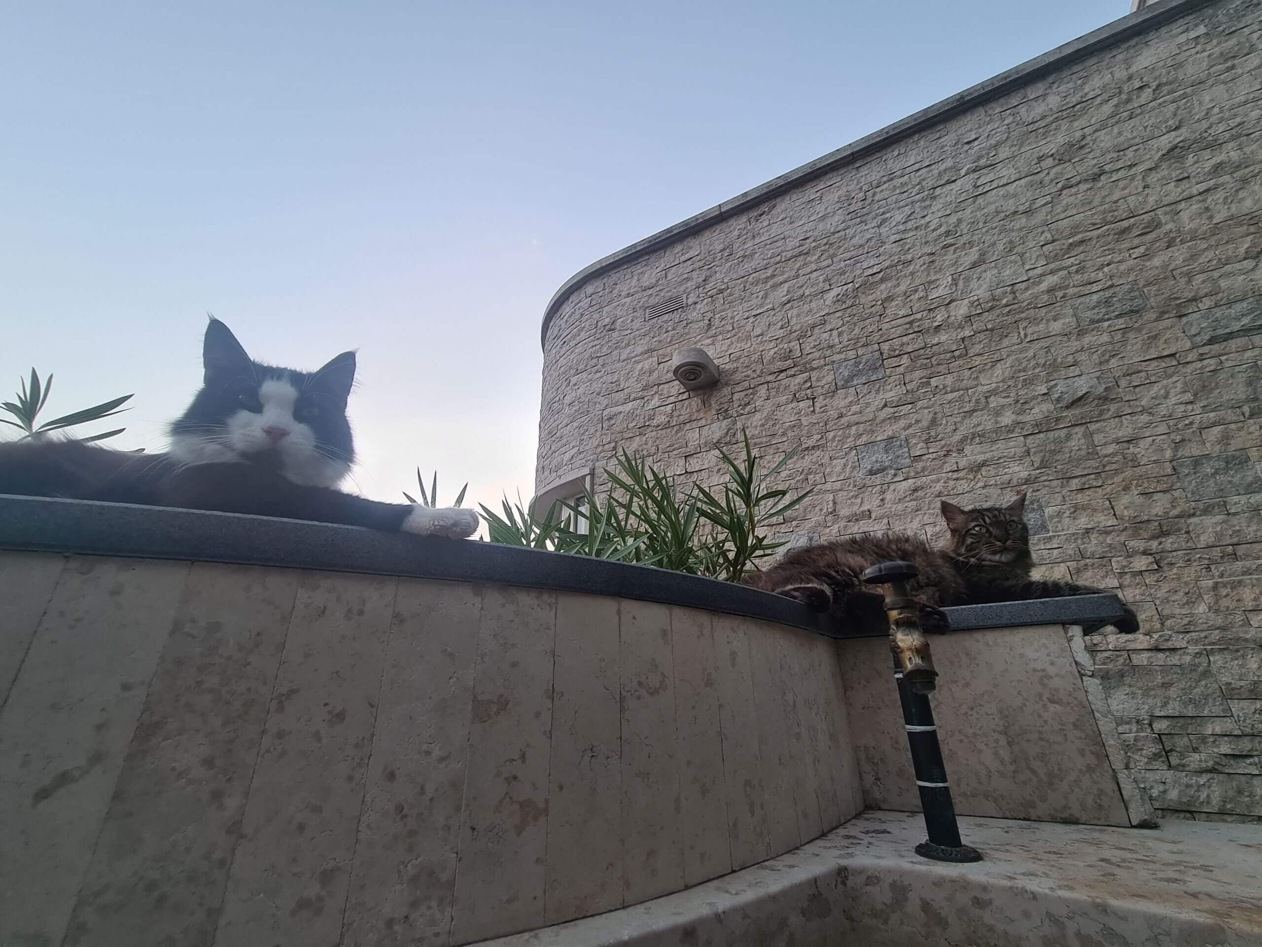 zidna i podna obloga Kanfanar, bunje